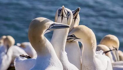 开云app下载-裁判判罚标准新规引发热议，裁判判罚标准新规引发热议规定