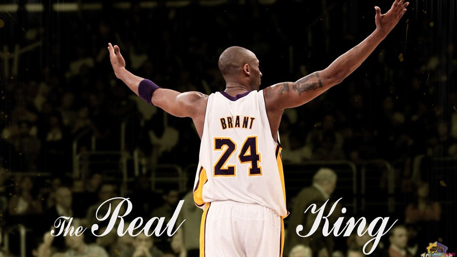 _季前热身赛：顶尖选手备战新季_，热身赛赛程安排